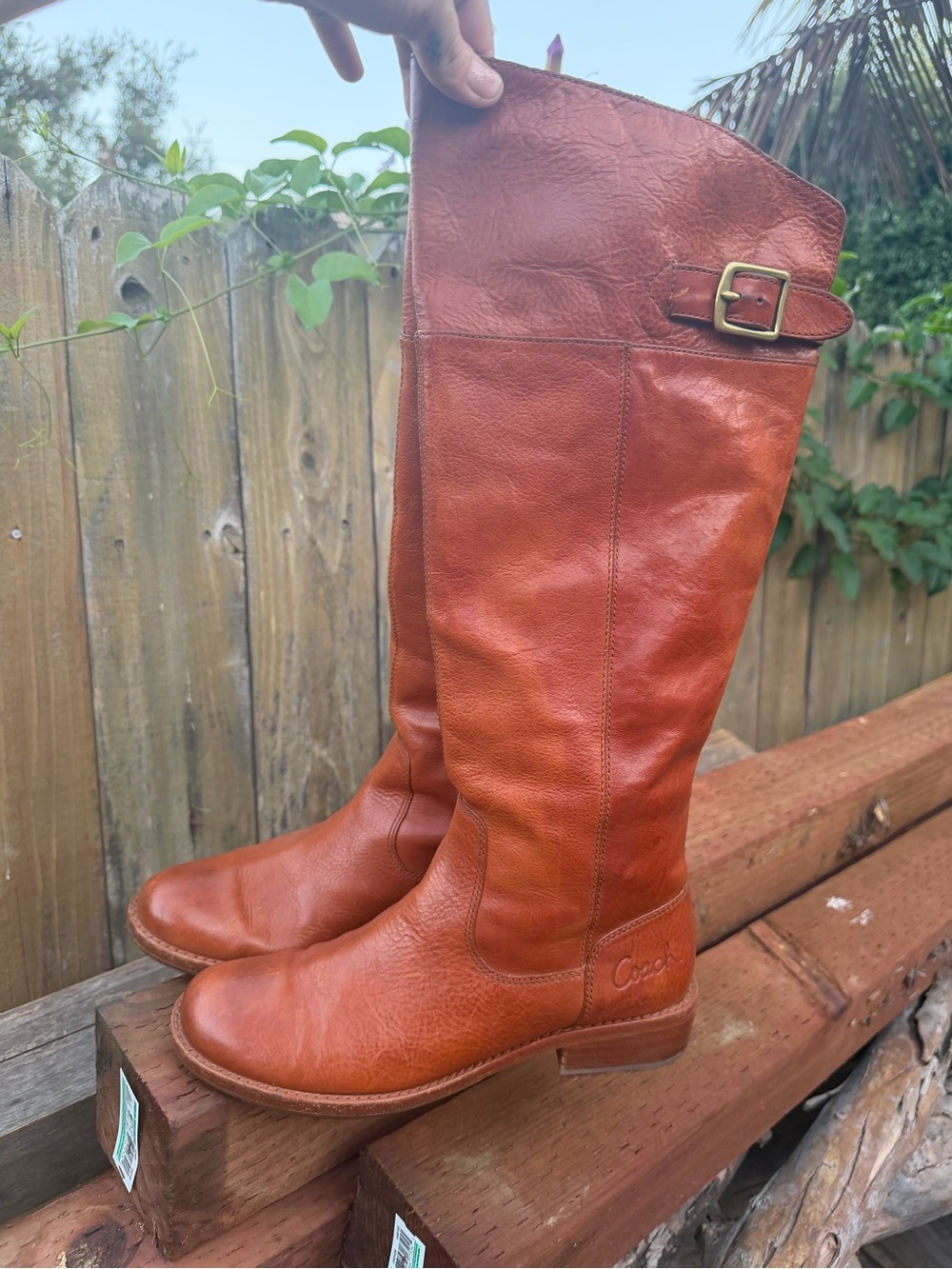 Coach Joelle Boots